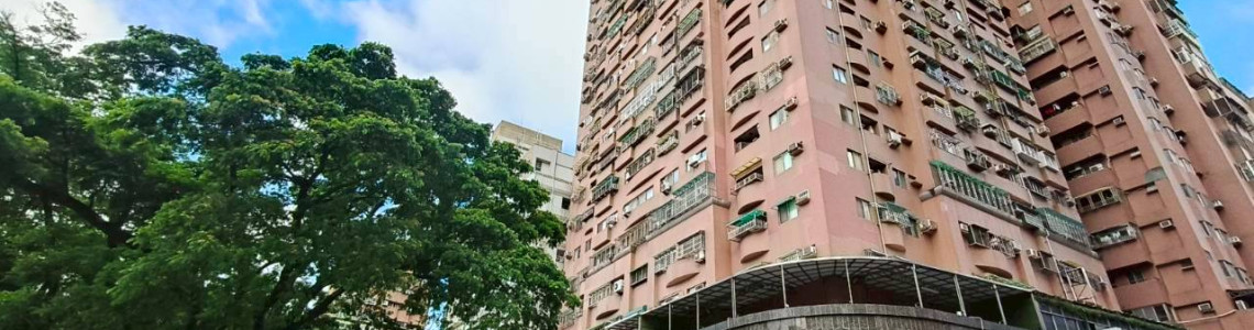 富國公園永久棟距景觀大兩房｜左營富國路・邊間三面採光